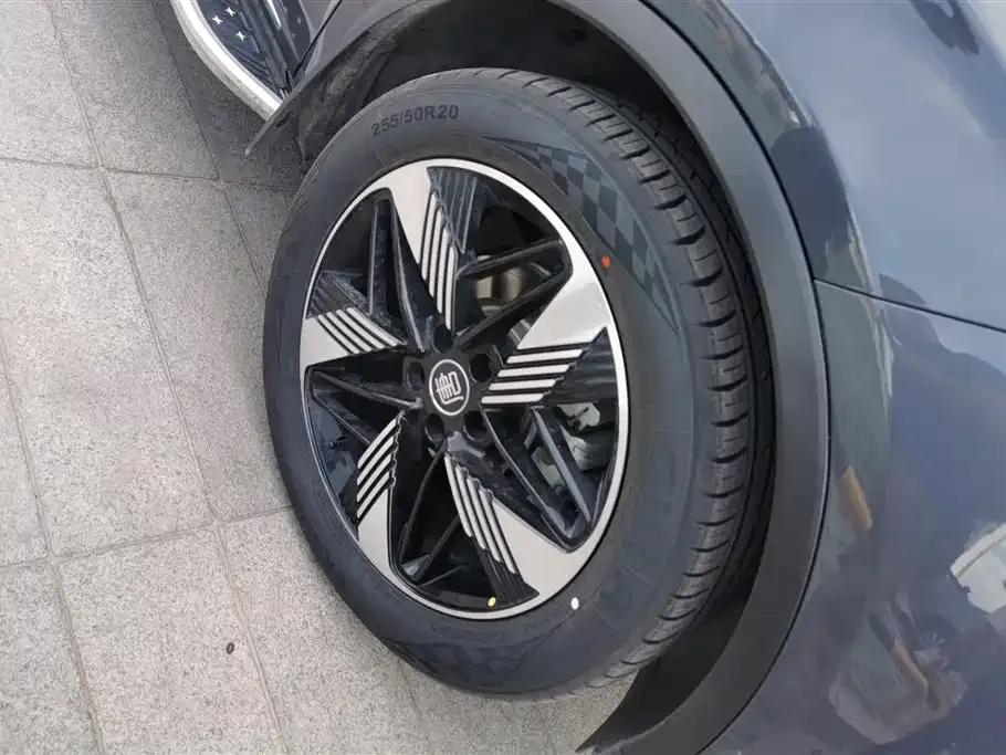 BYD Tang New Energy 2023 из CN, фото 4