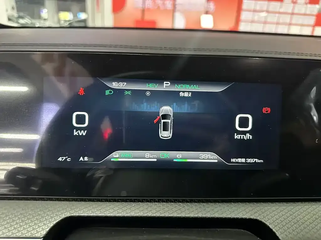 BYD Pro New Energy — фото 5