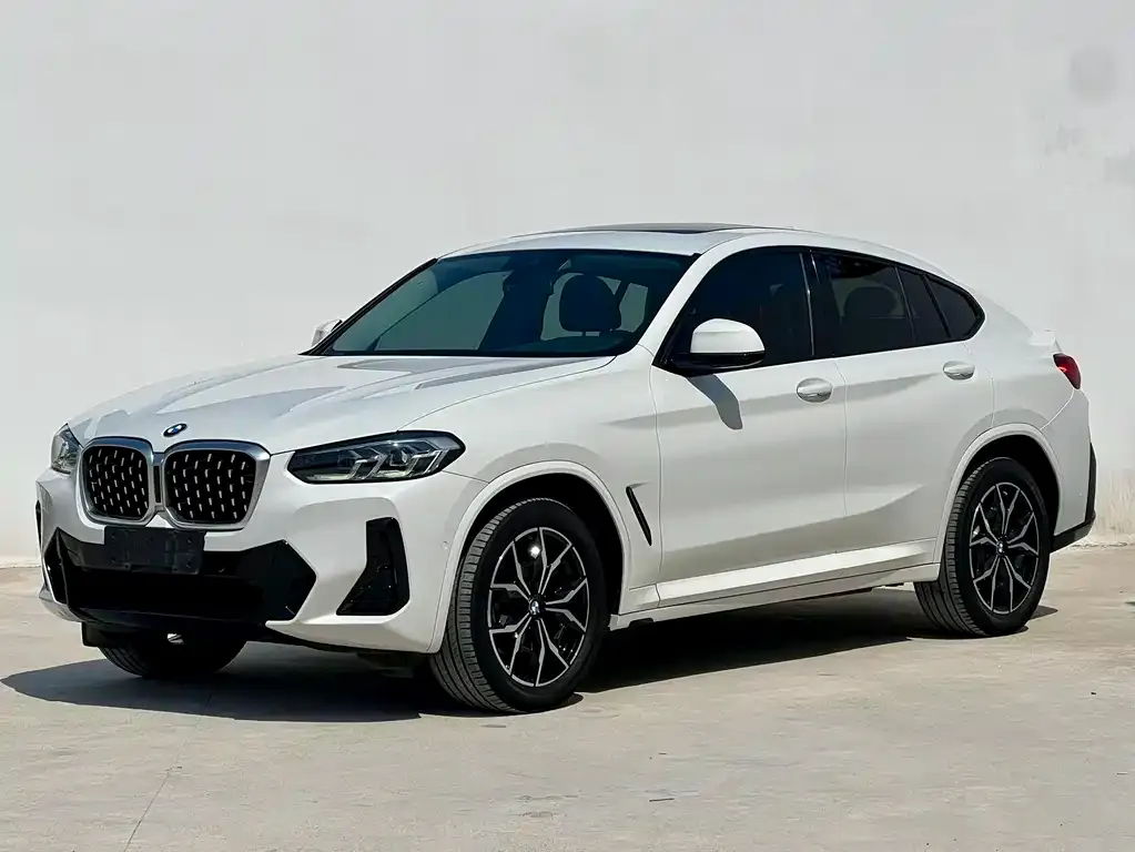BMW X4 — фото 1