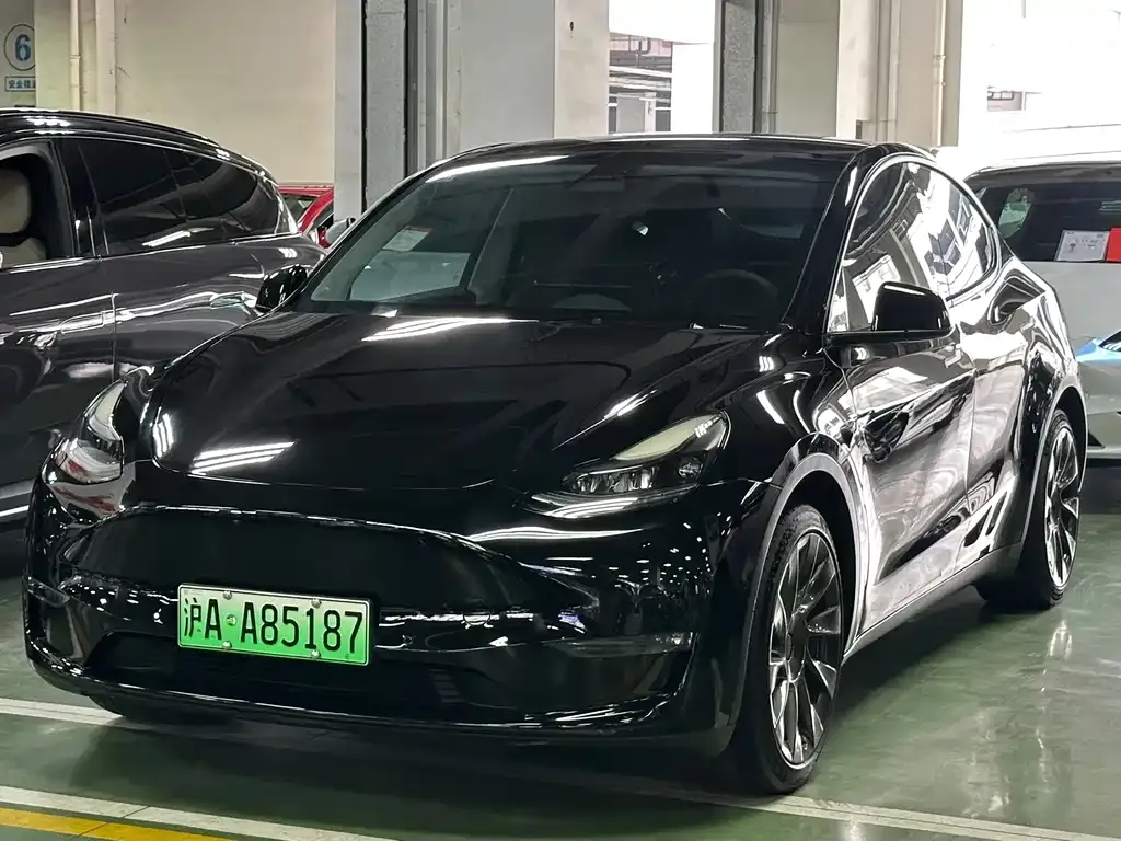 Tesla Model Y — фото 1