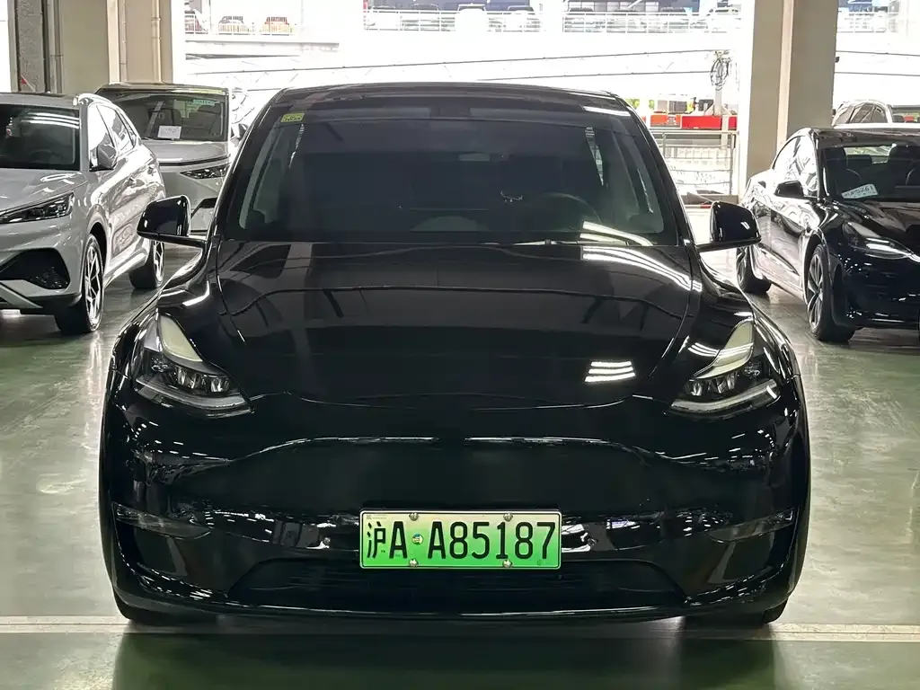 Tesla Model Y — фото 2