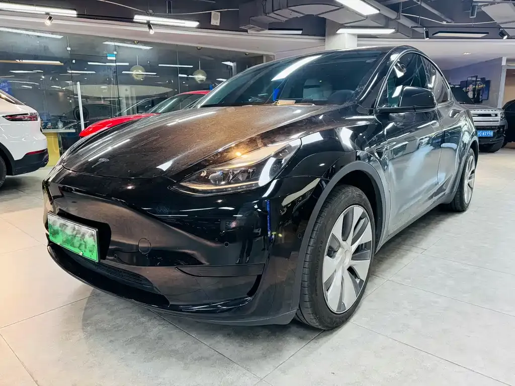 Tesla Model Y — фото 1