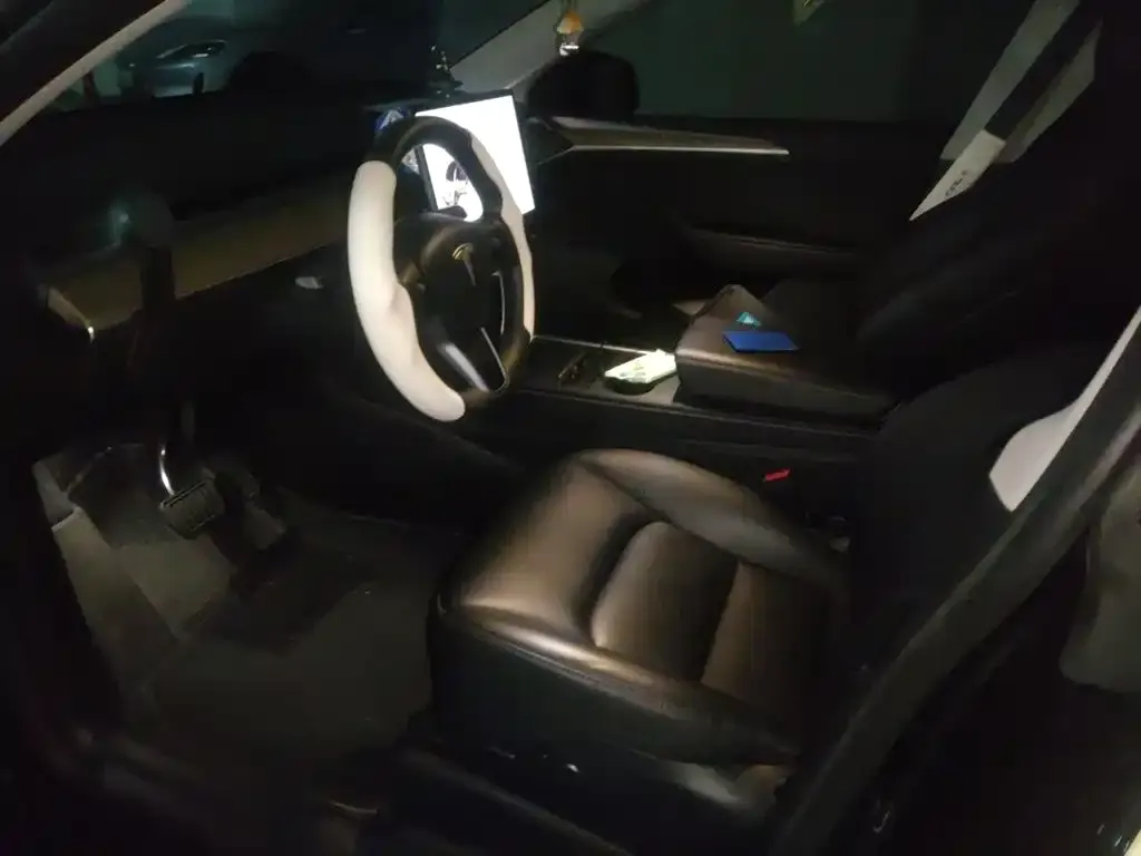 Tesla Model Y — фото 10