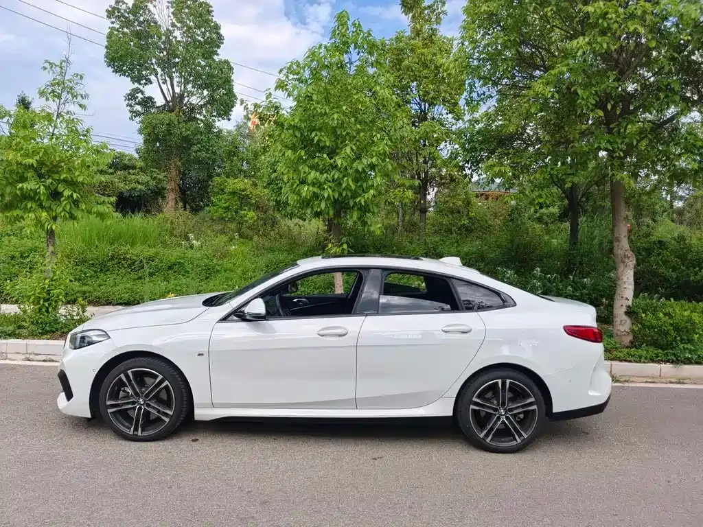 BMW 2 Series (Import) — фото 10