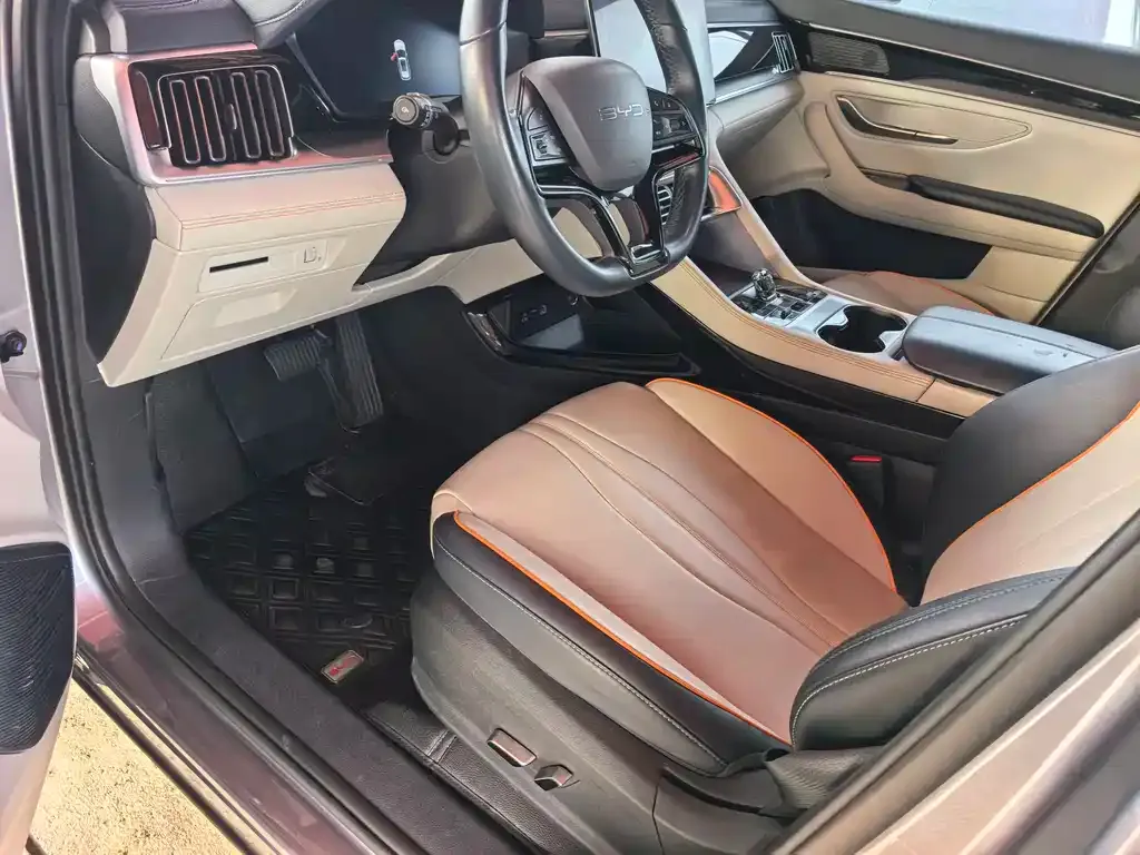 BYD PLUS New Energy 2023 из CN, фото 3