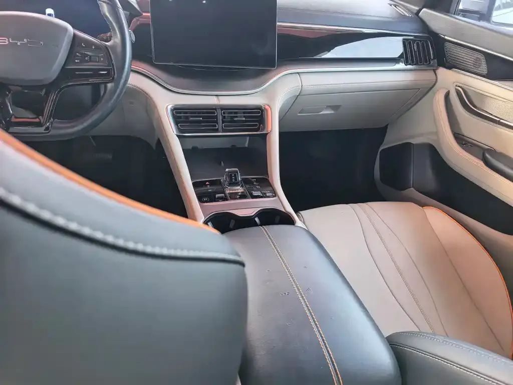 BYD PLUS New Energy 2023 из CN, фото 4