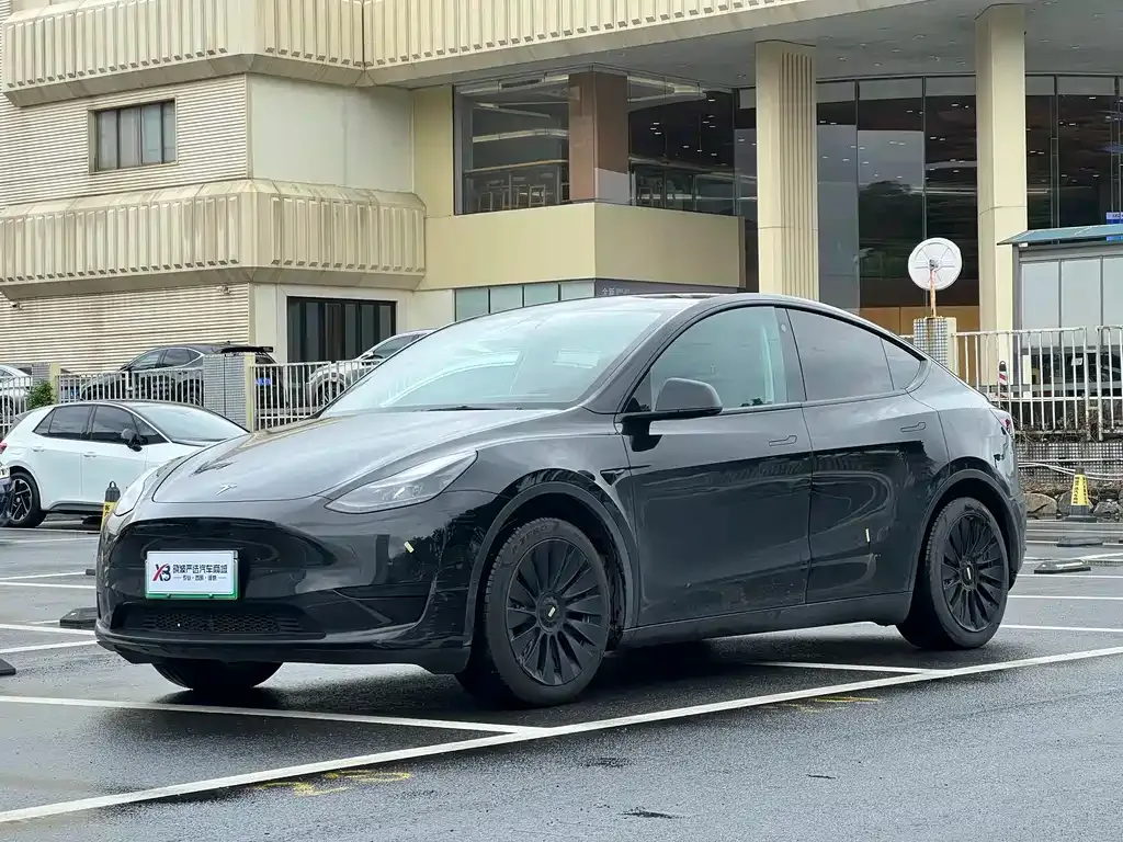 Tesla Model Y — фото 1
