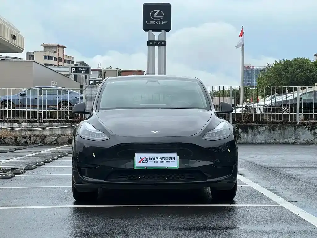 Tesla Model Y — фото 4