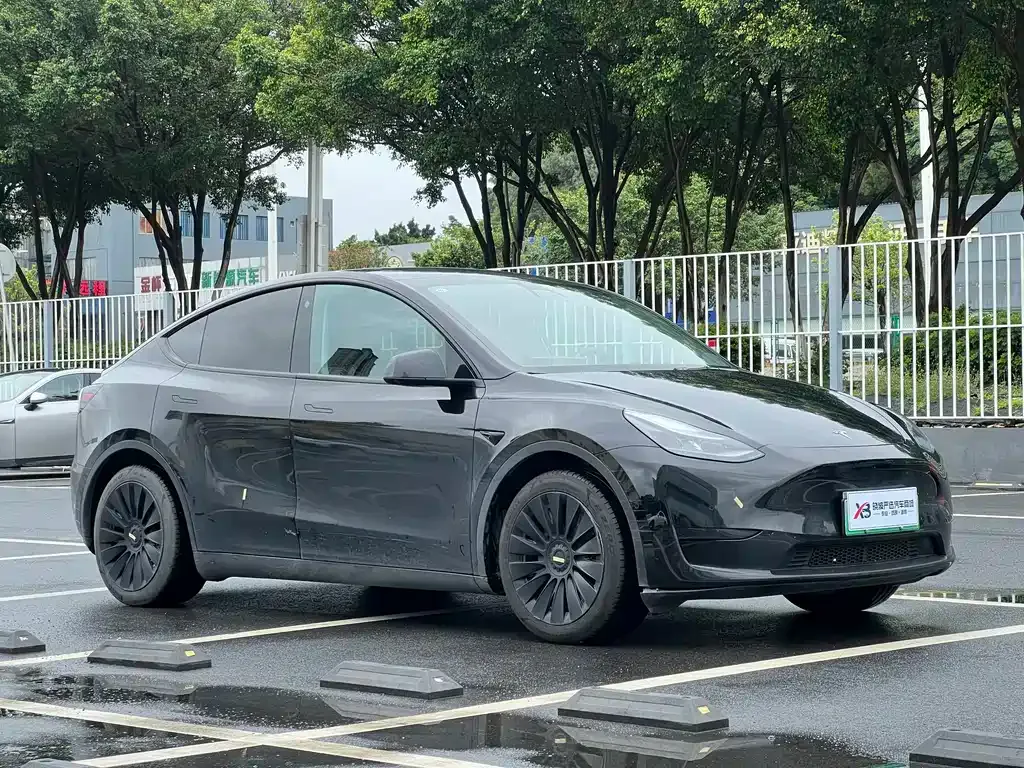 Tesla Model Y — фото 10