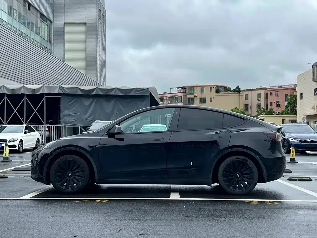 Tesla Model Y — фото 3