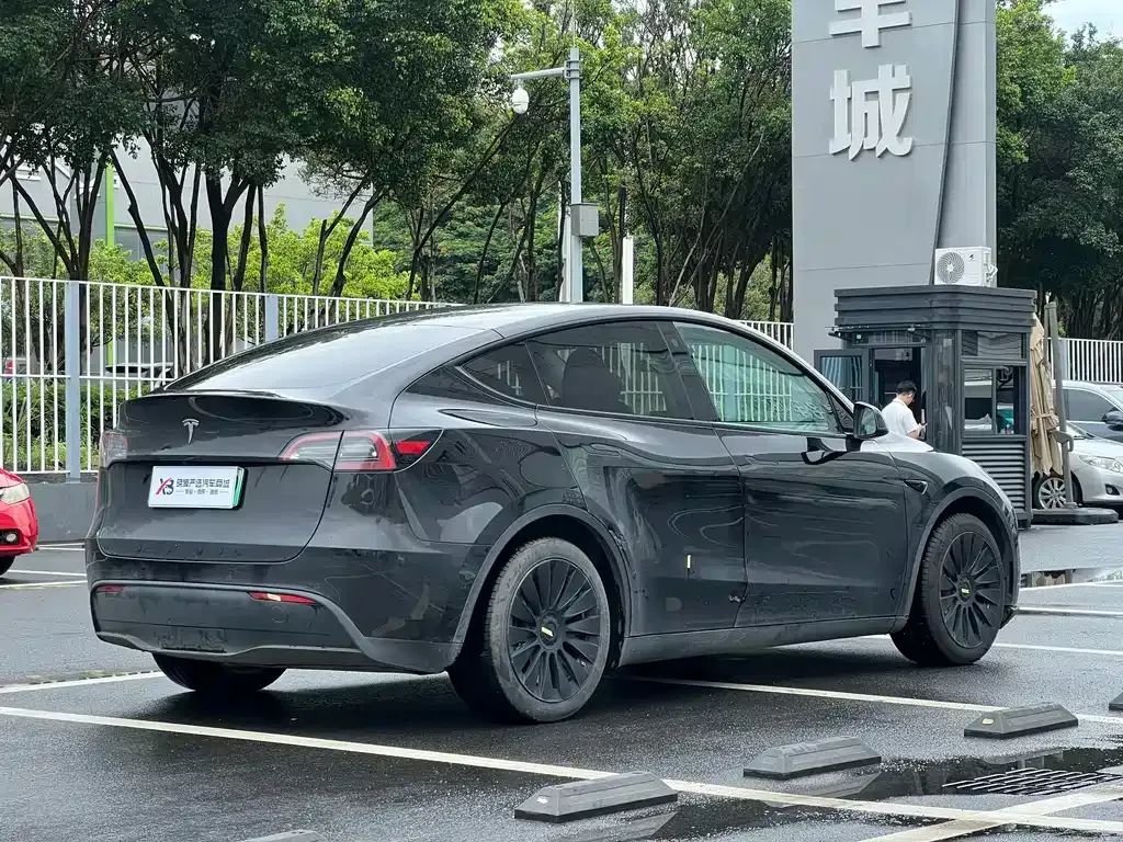 Tesla Model Y — фото 8