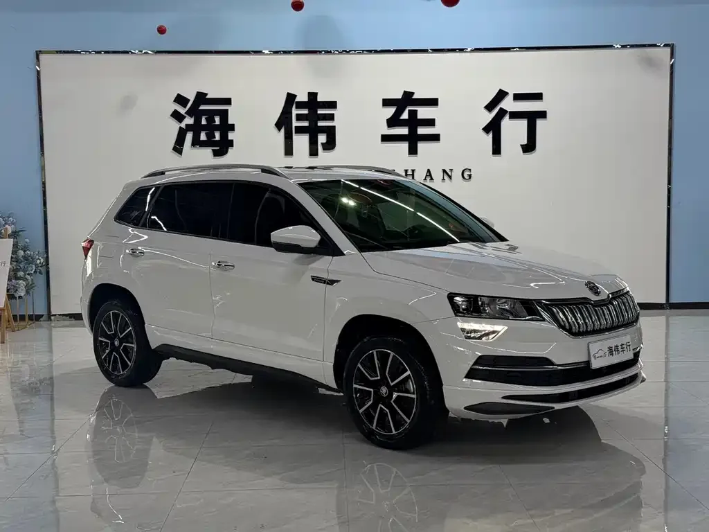 Skoda Karoq — фото 3