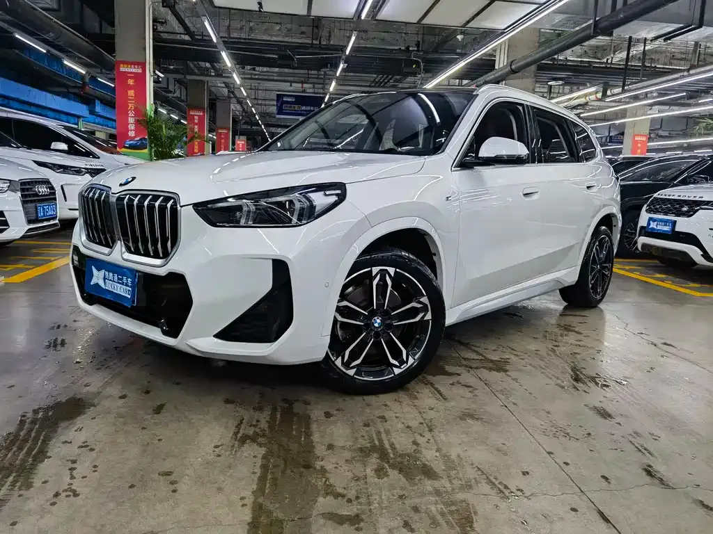 BMW X1 — фото 1