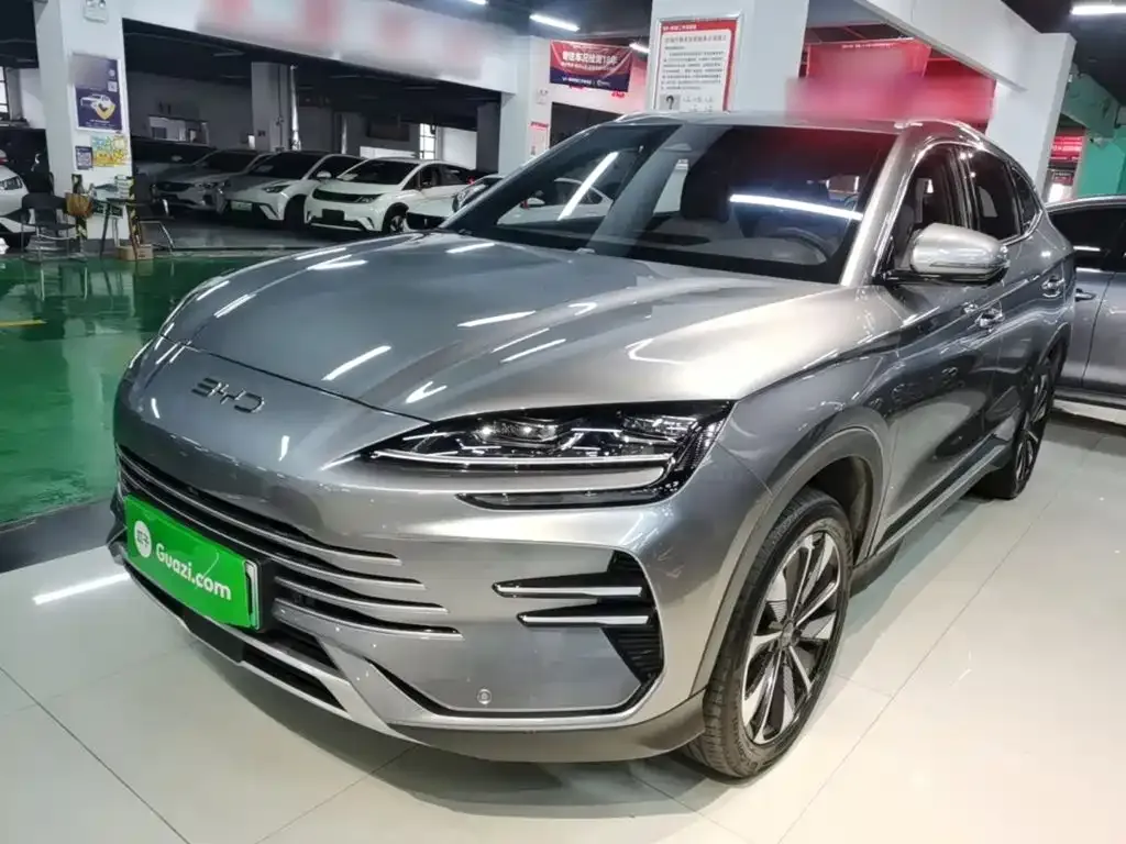 BYD PLUS New Energy — фото 7