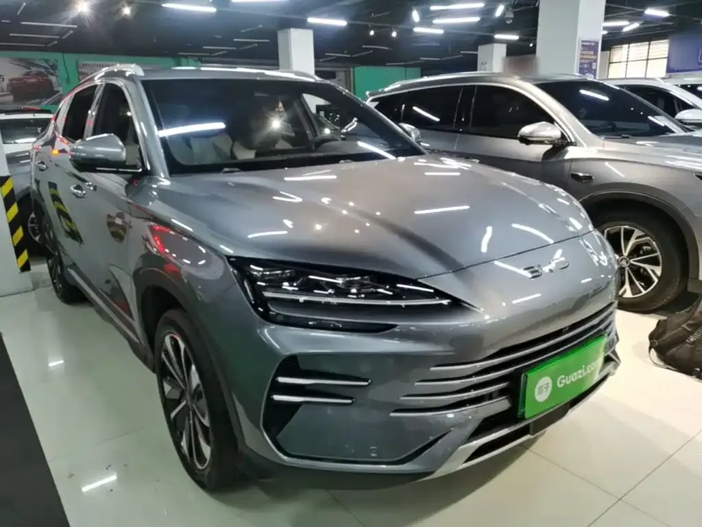 BYD PLUS New Energy — фото 6