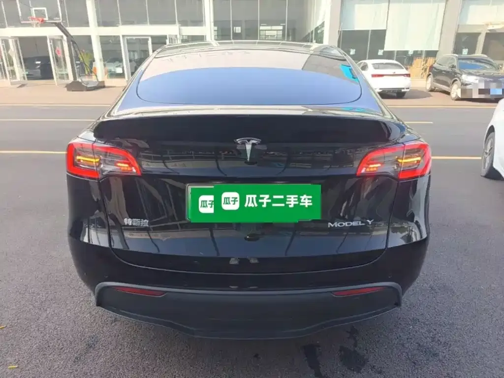 Tesla Model Y — фото 8