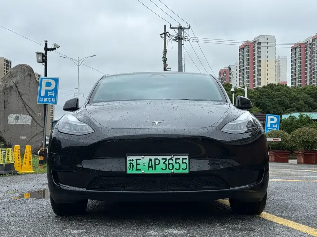 Tesla Model Y — фото 1