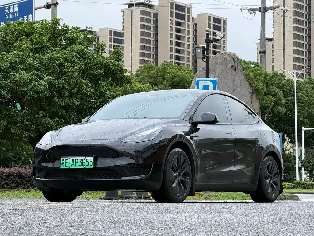 Tesla Model Y — фото 8