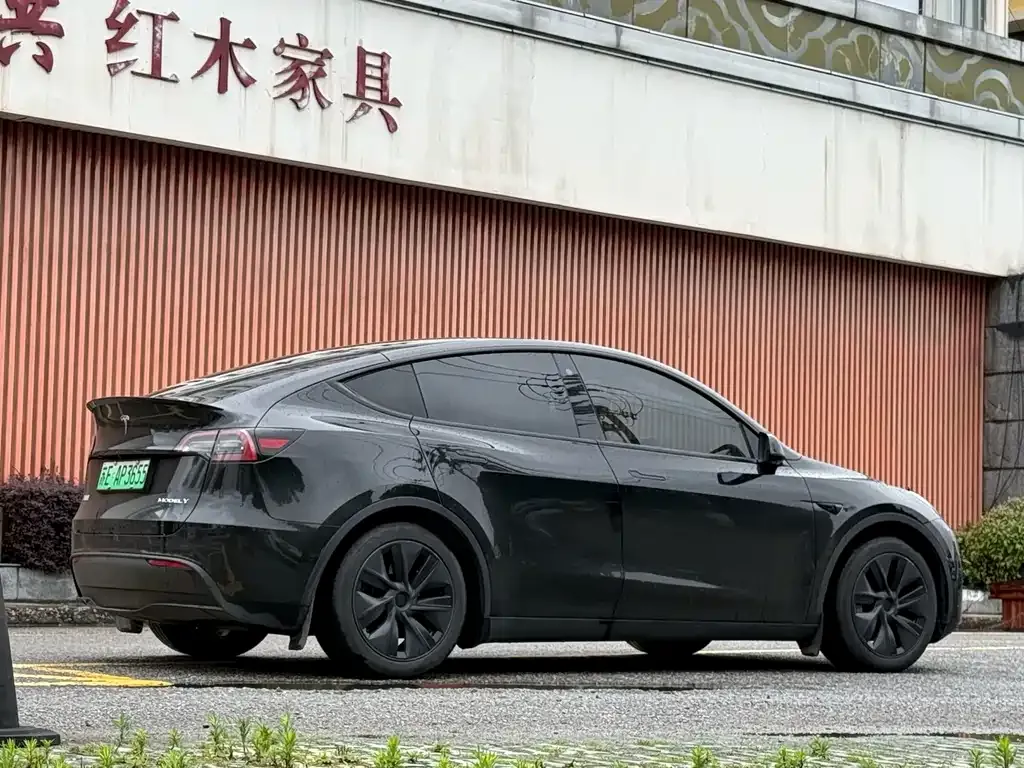 Tesla Model Y — фото 10