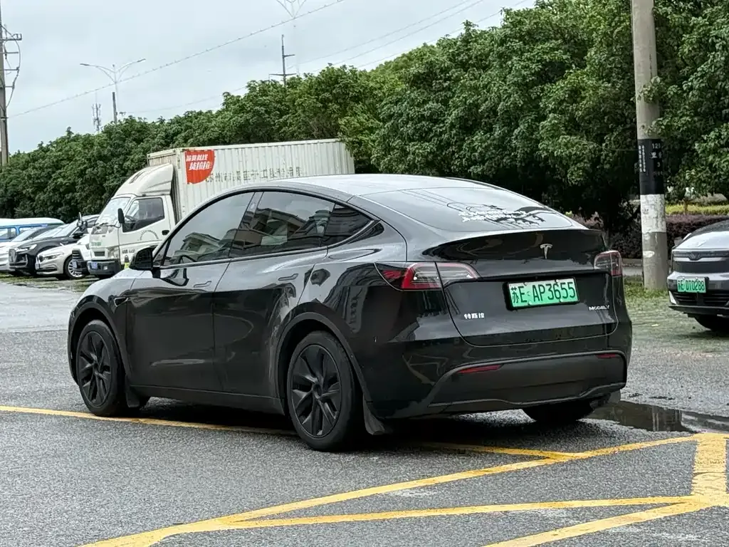 Tesla Model Y — фото 6