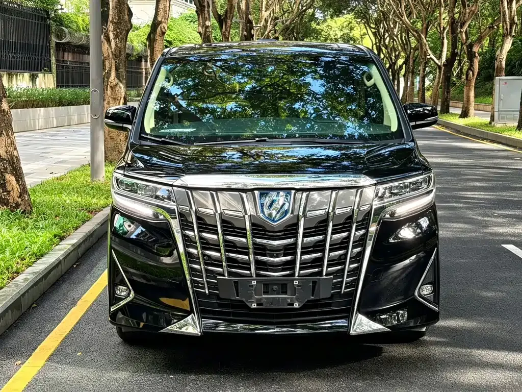 Toyota Alphard — фото 10