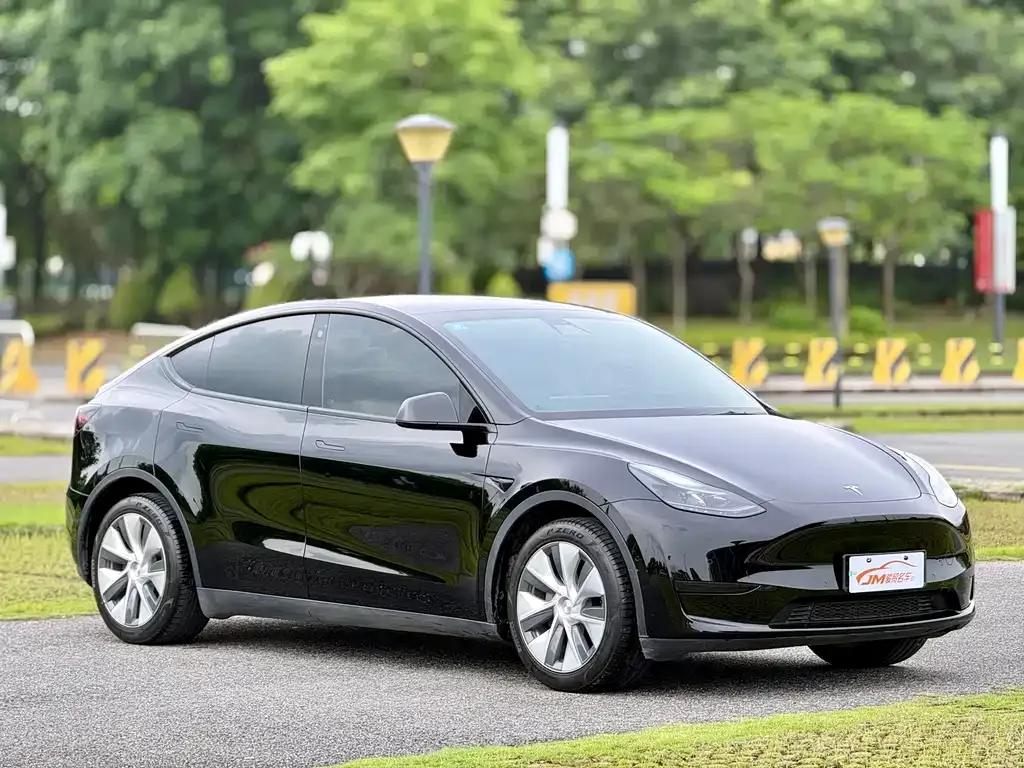 Tesla Model Y — фото 10