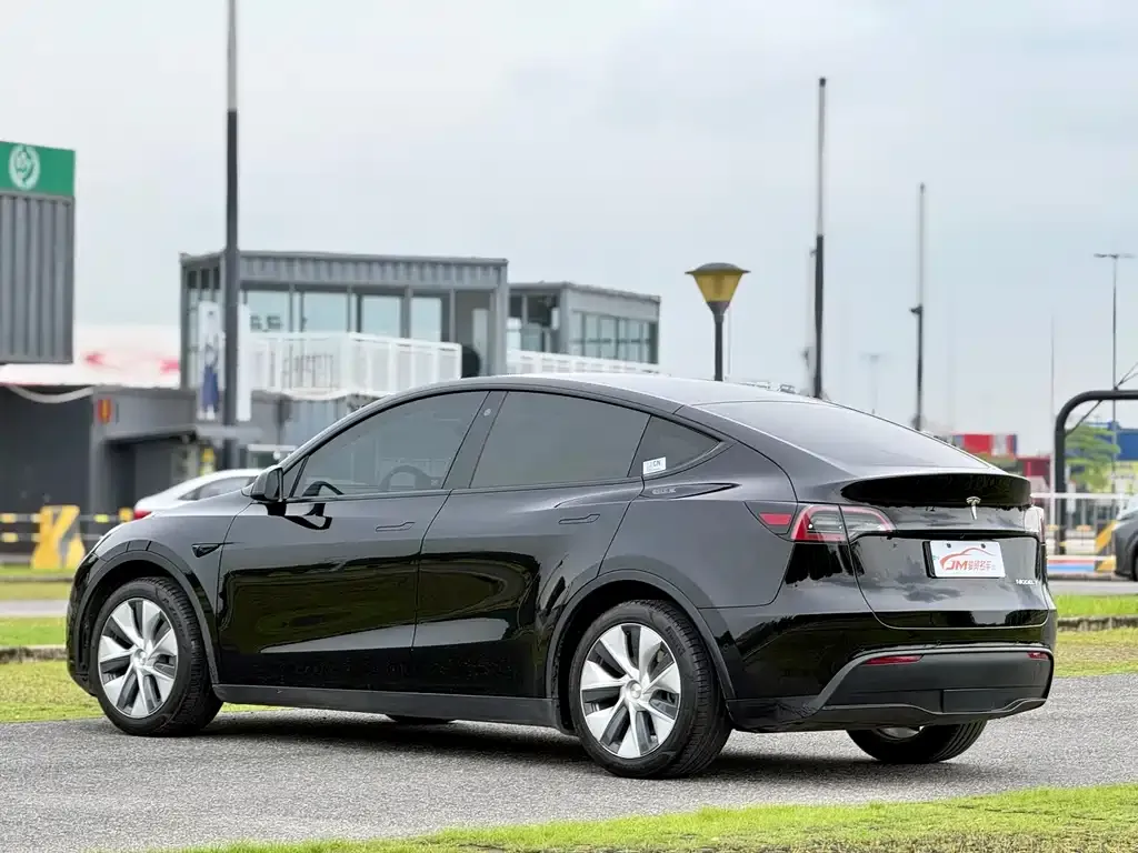 Tesla Model Y — фото 2