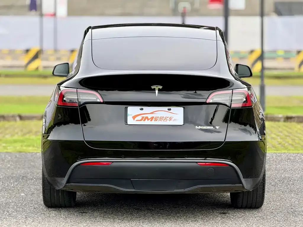 Tesla Model Y — фото 8