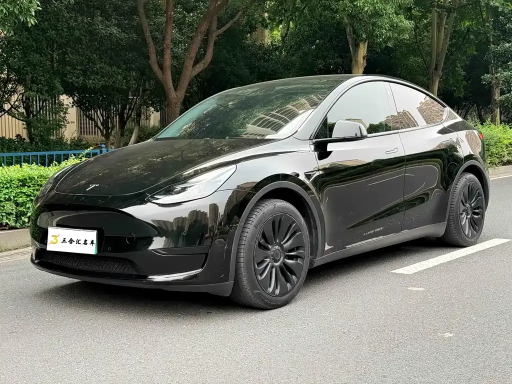 Tesla Model Y — фото 1