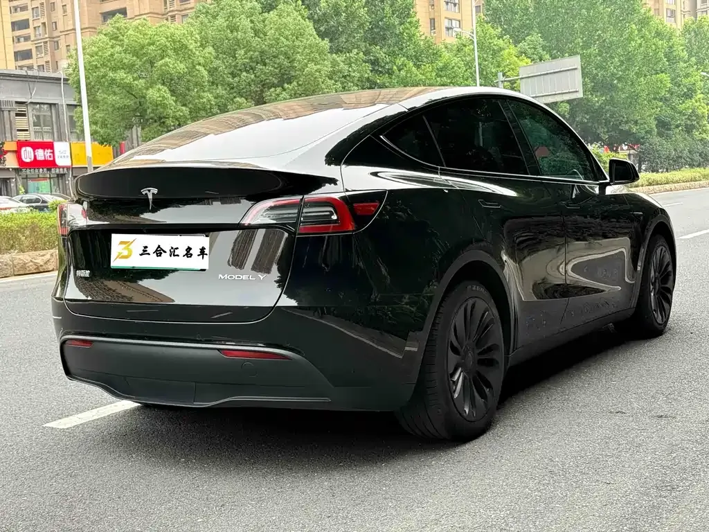 Tesla Model Y — фото 8