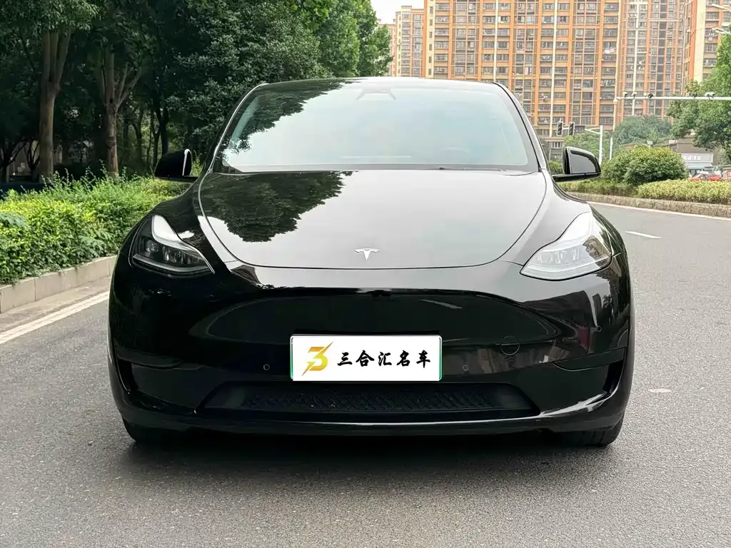 Tesla Model Y — фото 10