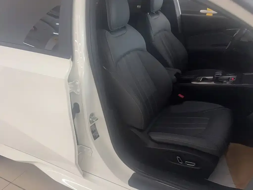 GAC Motor Shadow Leopard — фото 8