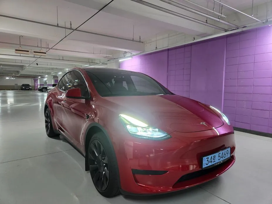 Tesla Model Y — фото 2