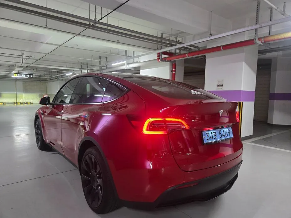 Tesla Model Y — фото 3