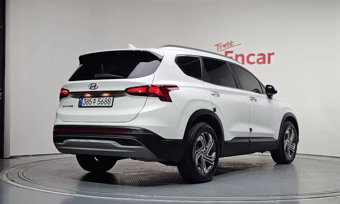 Hyundai Santafe — фото 8