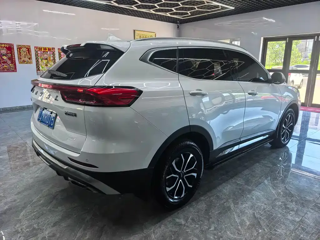 Haval H6 2022 из CN, фото 5