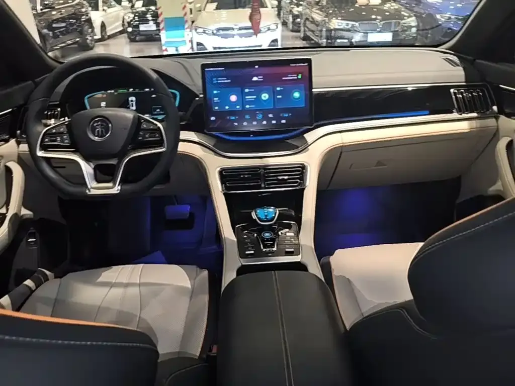 BYD PLUS New Energy — фото 10