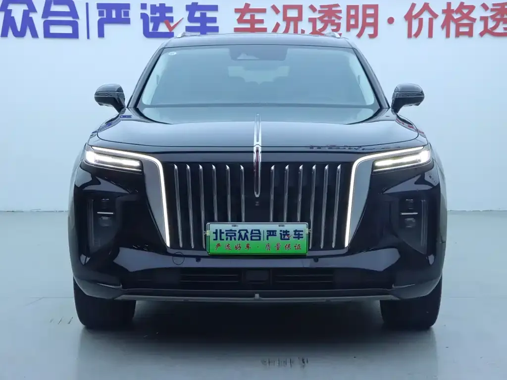 Hongqi E-HS9 — фото 3