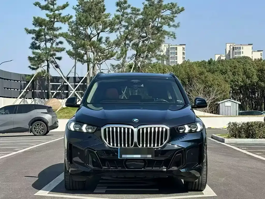 BMW X5 2024 из CN, фото 9