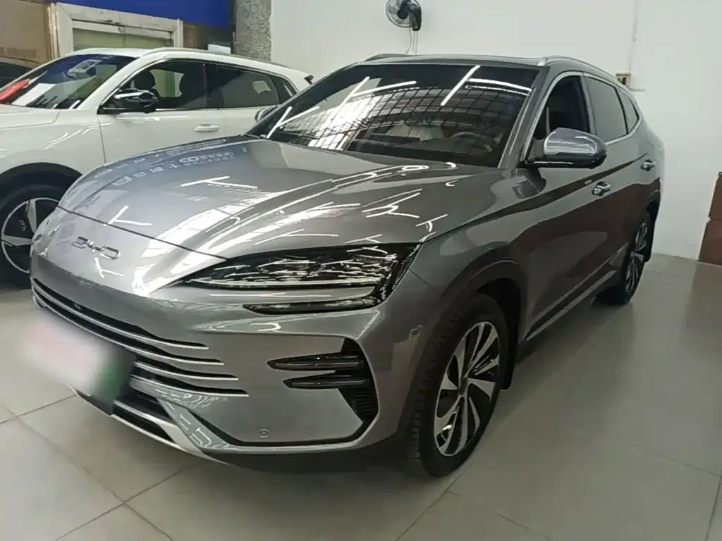 BYD PLUS New Energy — фото 1