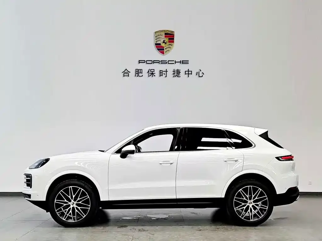 Porsche Cayenne — фото 6