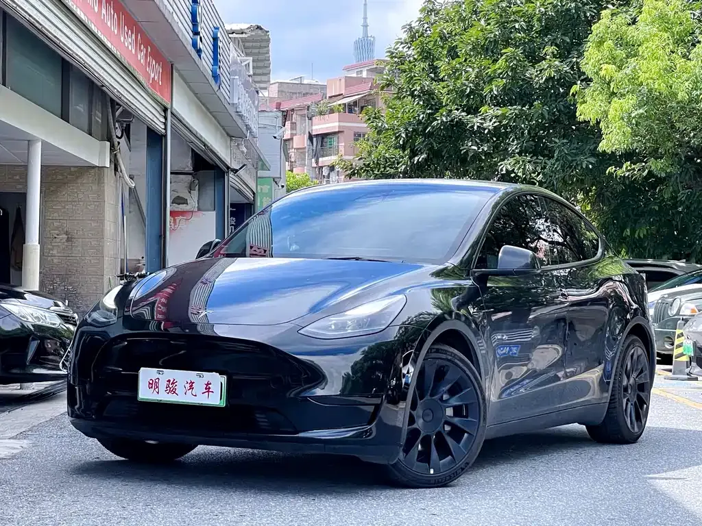 Tesla Model Y — фото 1