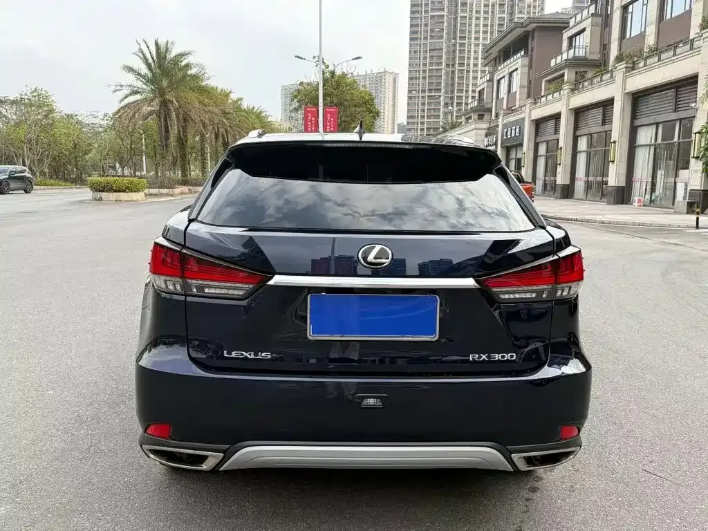 Lexus RX — фото 3