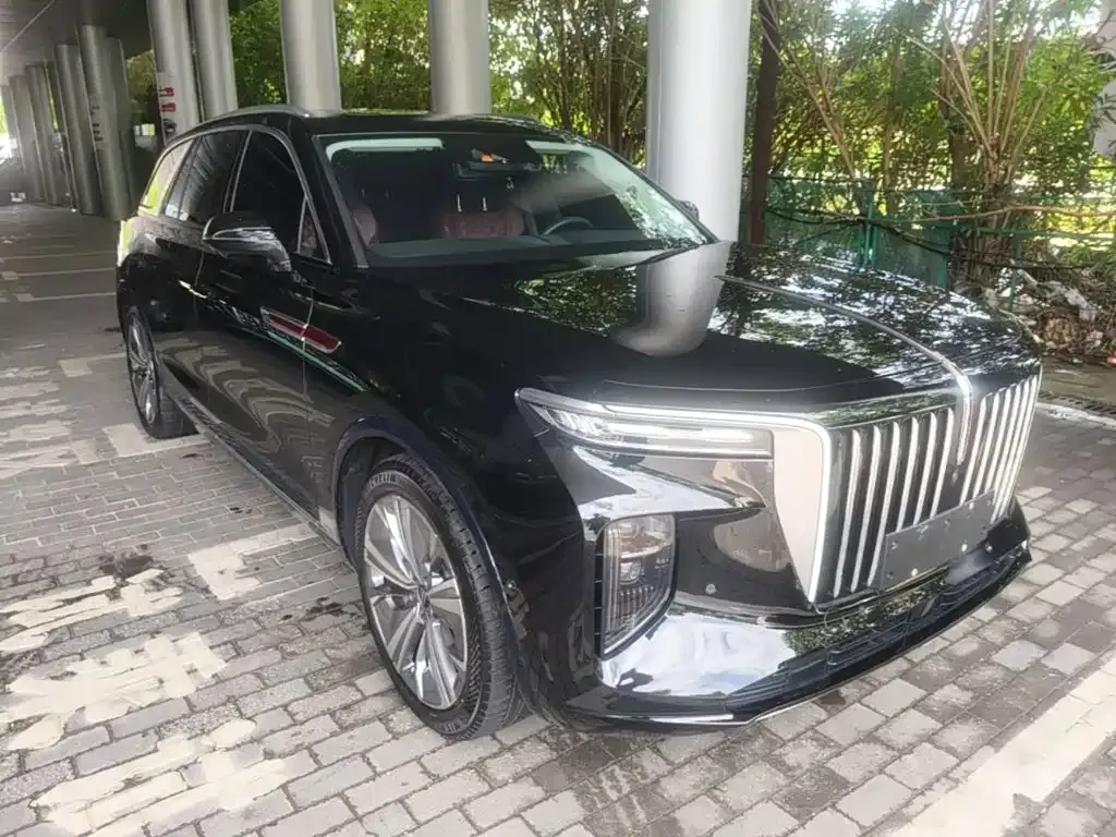 Hongqi E-HS9 — фото 10