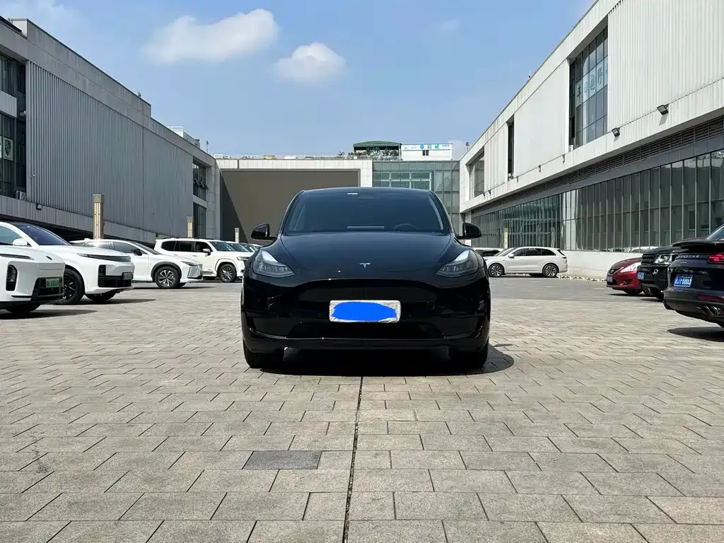 Tesla Model Y — фото 6