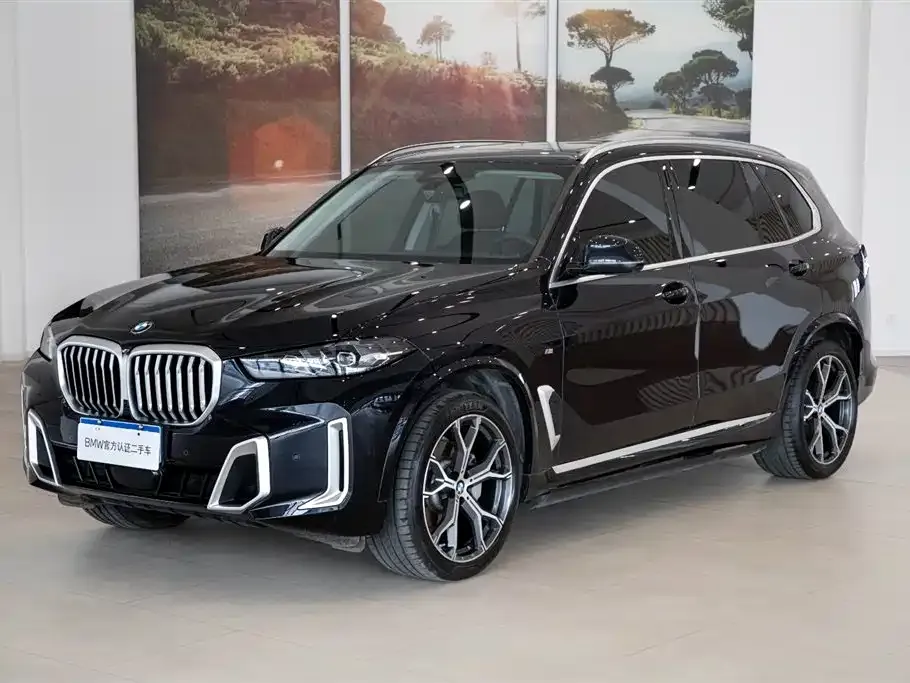 BMW X5 — фото 4