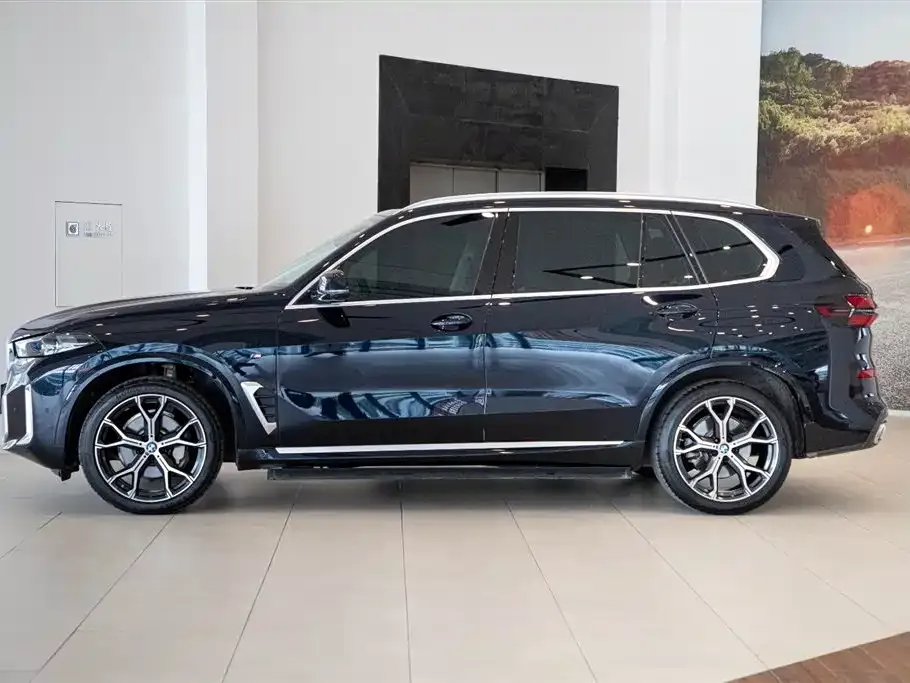 BMW X5 — фото 9
