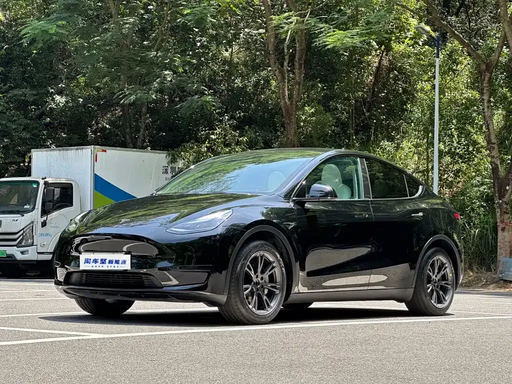 Tesla Model Y — фото 1