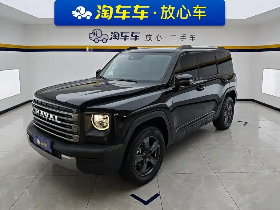 Haval Menglong New Energy — фото 1