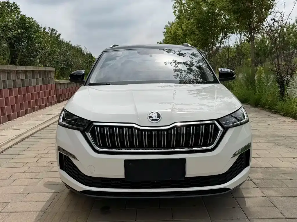 Skoda Kamiq — фото 10